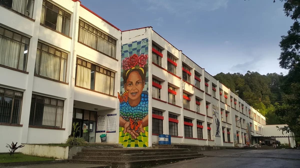 Universidad del Cauca